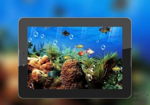  عکس پس زمینه آکواریوم ماهی