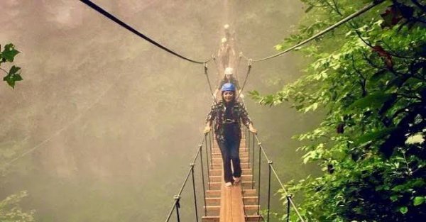  عکس پل معلق در جنگل پاییزی