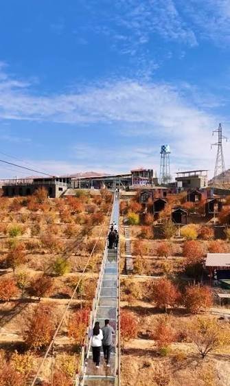  عکس پل معلق در جنگل پاییزی