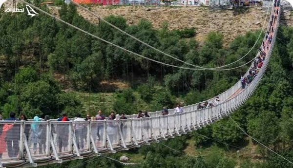  عکس پل معلق در جنگل پاییزی