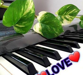 عکس ساز پیانو برای پروفایل