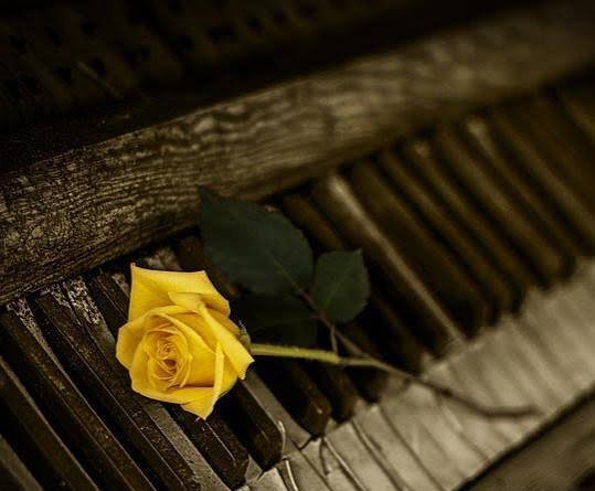  عکس پیانو برای پروفایل پسرانه