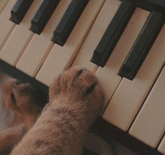  عکس پیانو برای پروفایل پسرانه
