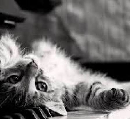  عکس پیانو برای پروفایل پسرانه