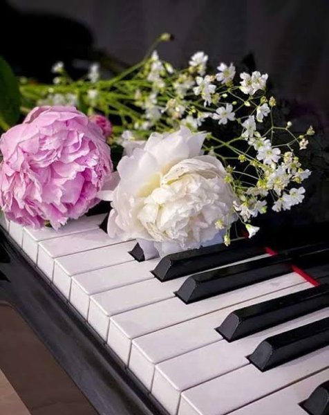  عکس پیانو برای پروفایل پسرانه