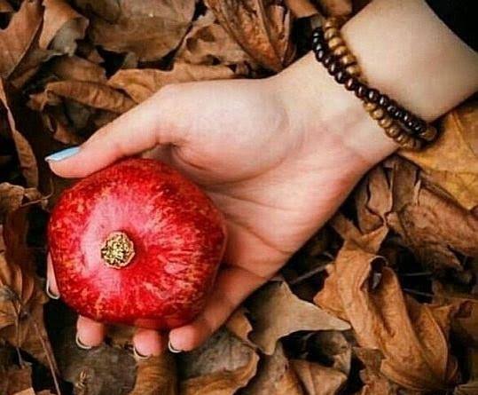  عکس زیبای دانه های قرمز انار