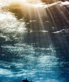 عکس زیر آب دریا با کیفیت برای تصویر زمینه گوشی