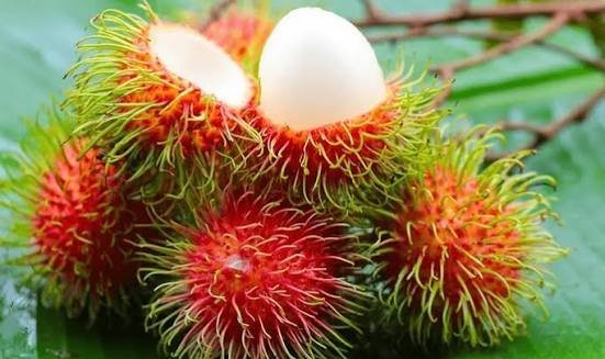  عکس میوه های خوشمزه و رنگارنگ