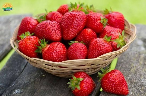  عکس میوه های خوشمزه و رنگارنگ