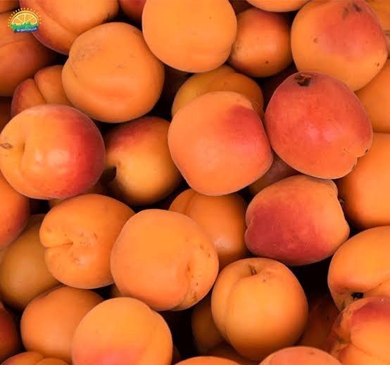  عکس میوه های خوشمزه و رنگارنگ