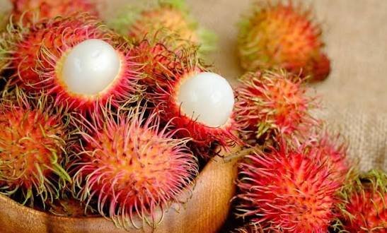  عکس میوه های خوشمزه و رنگارنگ