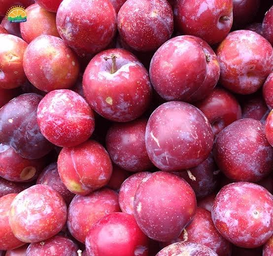  عکس میوه های خوشمزه و رنگارنگ