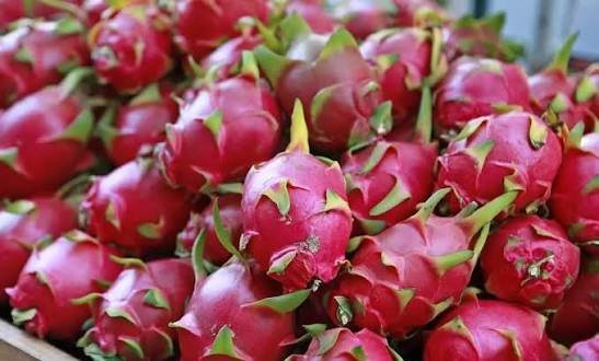  عکس میوه های استوایی