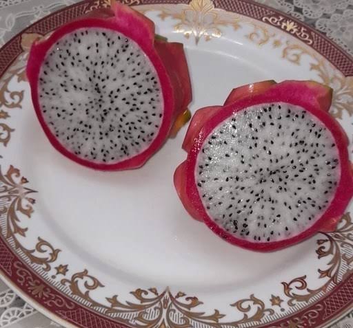  عکس میوه های استوایی