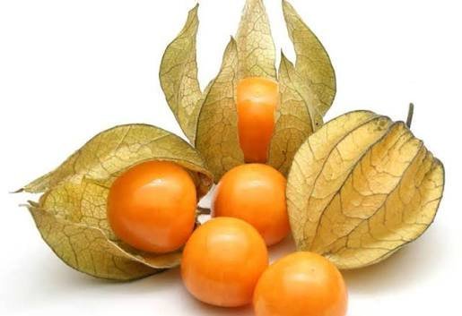  عکس میوه های استوایی