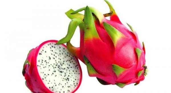  عکس میوه های استوایی