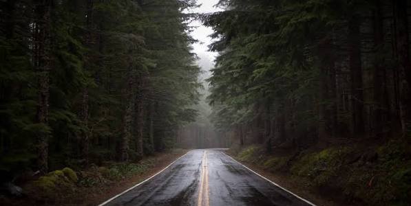  عکس جاده بارانی با کیفیت بالا مناسب دسکتاپ