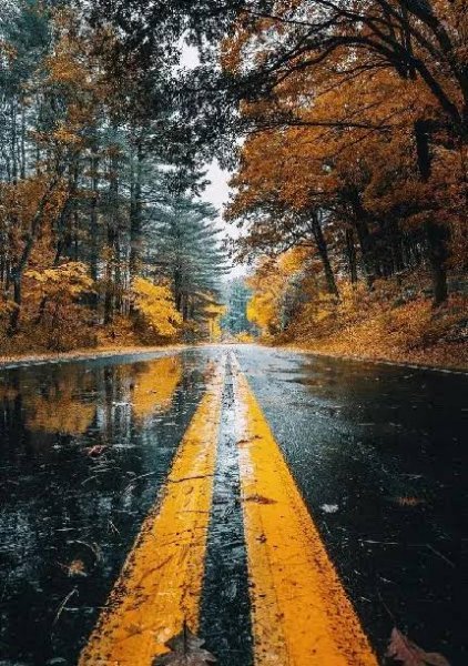  عکس جاده بارانی با کیفیت بالا مناسب دسکتاپ