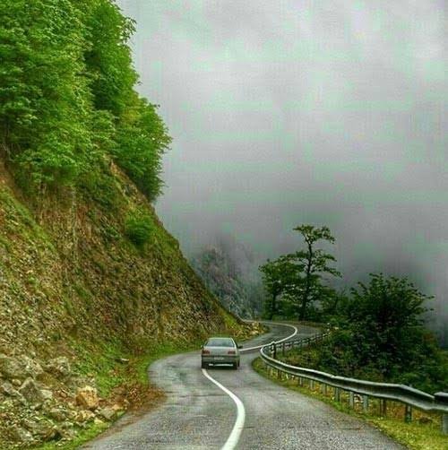  عکس پروفایل جاده جنگلی