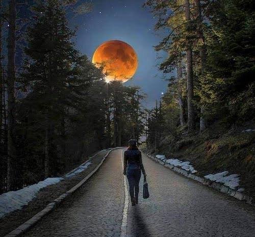  عکس پروفایل جاده جنگلی