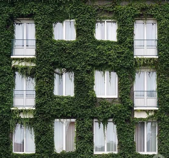  عکس معماری برای پروفایل