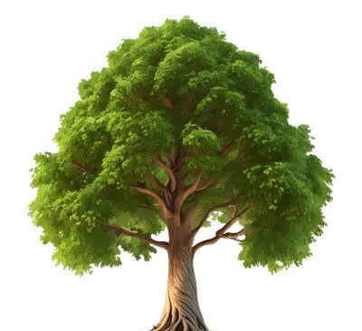  عکس پروفایل تک درخت زیبا