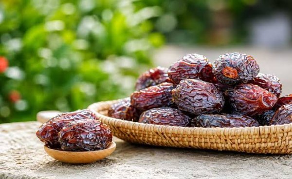  عکس میوه خوشمزه و شیرین خرما