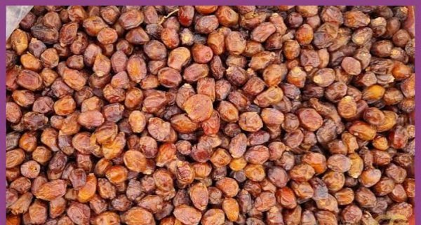  عکس میوه خوشمزه و شیرین خرما