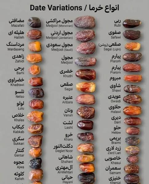 عکس انواع خرما