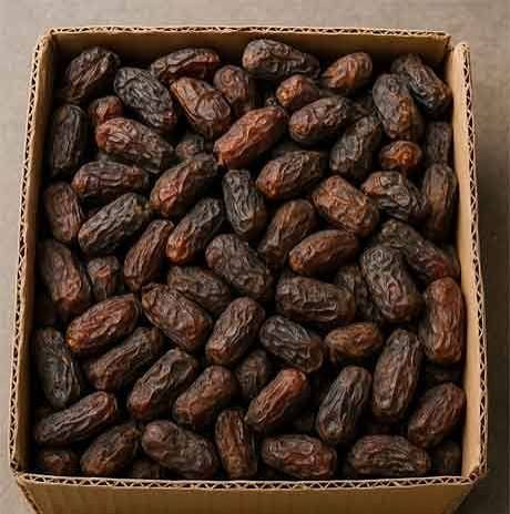  عکس انواع خرما
