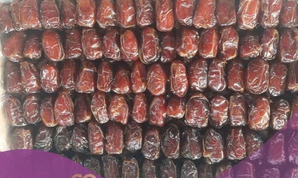  عکس انواع خرما