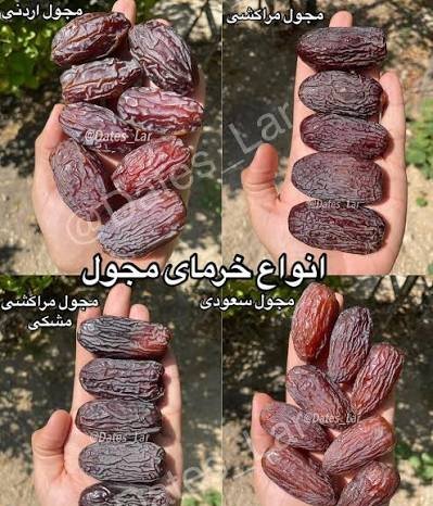  عکس انواع خرما