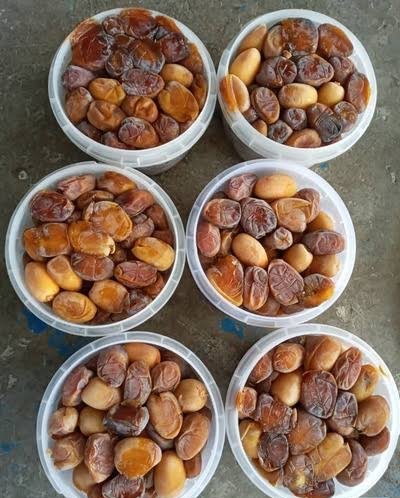  عکس خرما کبکاب