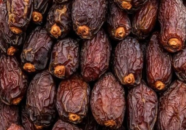 اسم انواع خرما با عکس