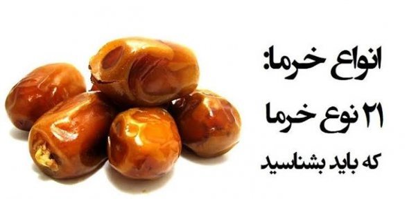  اسم انواع خرما با عکس