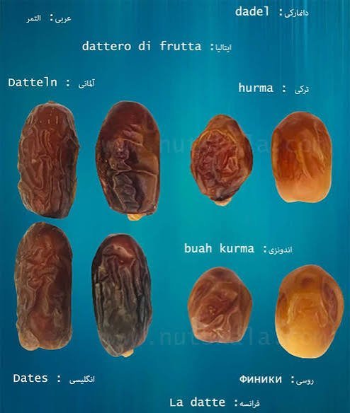  اسم انواع خرما با عکس