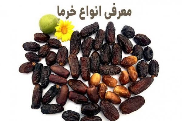  اسم انواع خرما با عکس