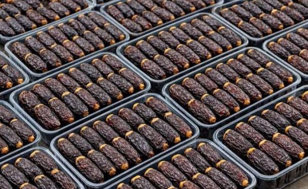 اسم انواع خرما با عکس