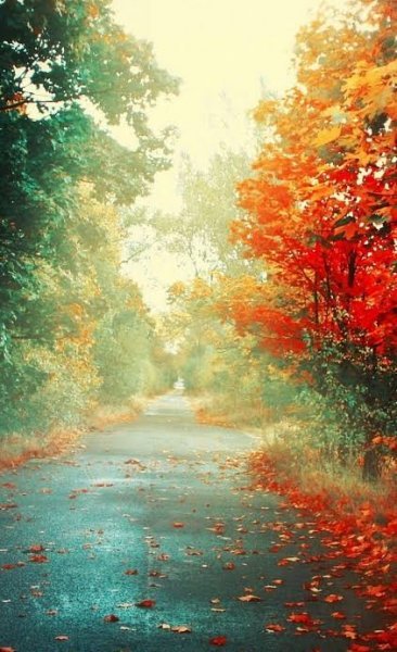  نقاشی منظره پاییزی با کیفیت فول اچ دی