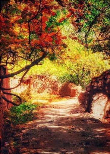  نقاشی منظره پاییزی با کیفیت فول اچ دی