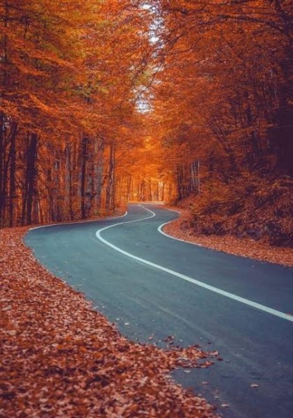  نقاشی منظره پاییزی با کیفیت فول اچ دی