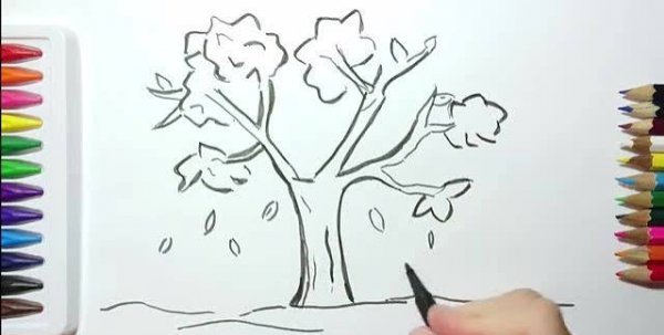  نقاشی درخت پاییزی ساده