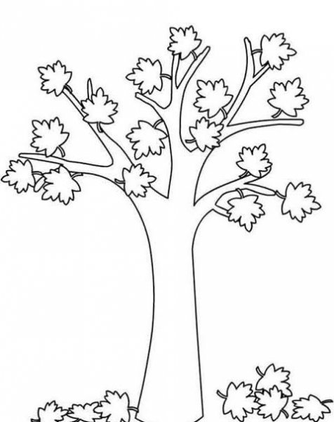  نقاشی درخت پاییزی ساده