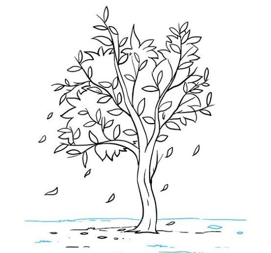  نقاشی درخت پاییزی ساده