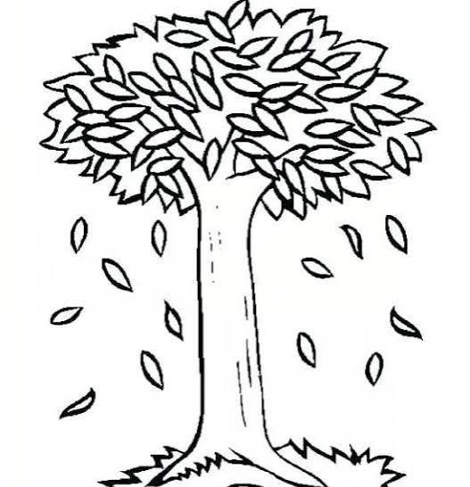  نقاشی درخت پاییزی ساده
