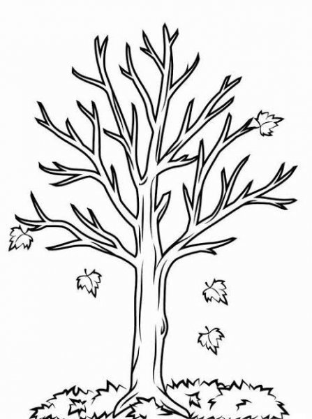  نقاشی درخت پاییزی ساده
