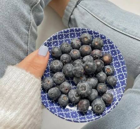 عکس میوه بلوبری