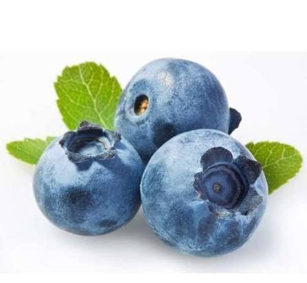  عکس میوه بلوبری