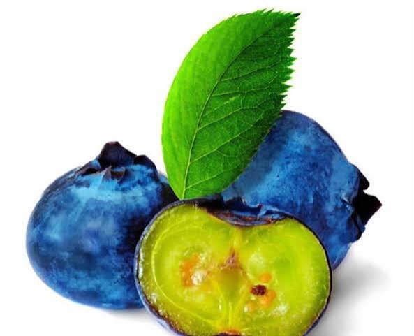  عکس میوه بلوبری