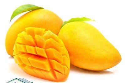  دانلود عکس میوه های انبه تازه